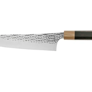 Eden Takara Gyuto 2060-021 acero Aogami, 21 cm