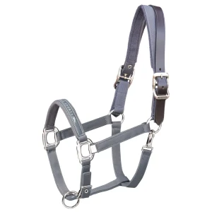 Memphis Breakaway, Nylon Halter + Leather strap Anthracite C
