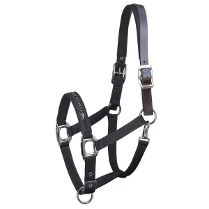 Memphis Breakaway, Nylon Halter + Leather strap Black P