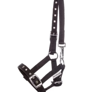 Cabestro de para potros y añales Black Potro/de/un/año