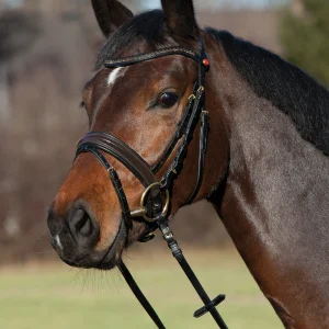 Cabezada Confort París Black/Brass C