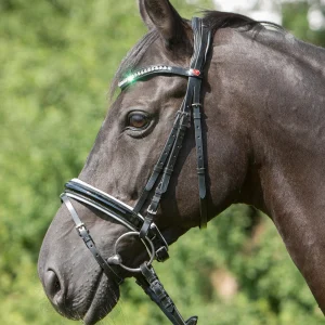 Cabezada Confort París Black/White/Chrome C