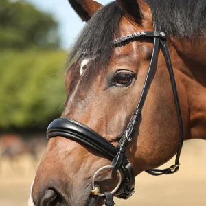 Cabezada Ayana KavalSH4 Black F